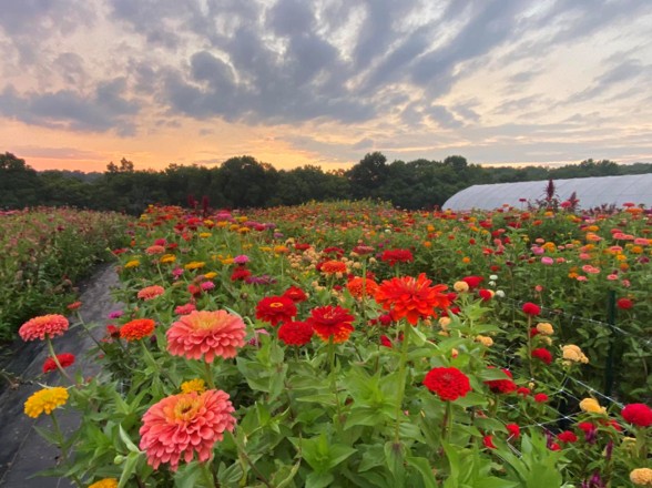 Jordan Farms